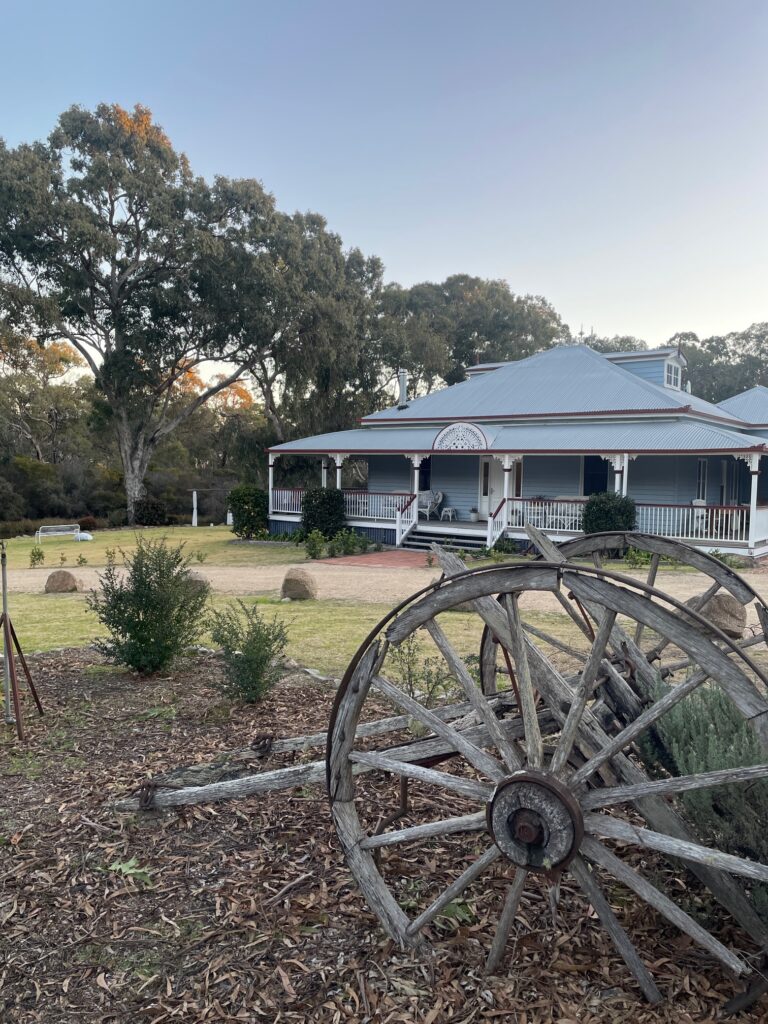 Diamondvale homestead in background flanked by large gum tree and historic wagon wheel in foreground in garden area